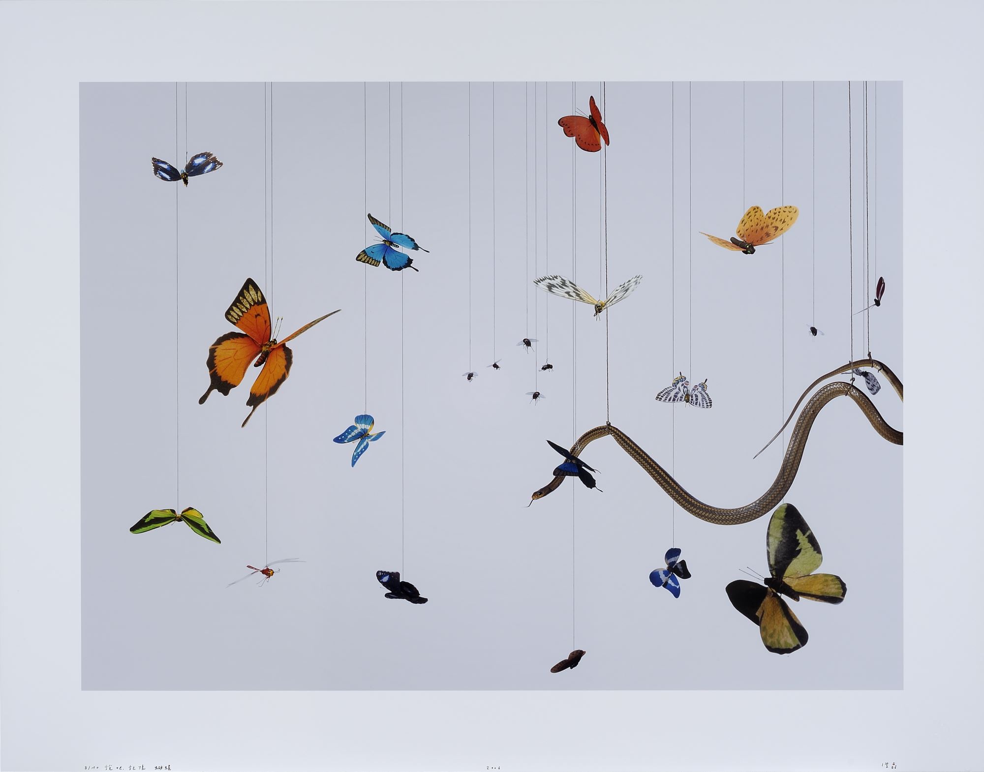 <p>Hong Lei, <em>Speak, Memory of Butterflies.</em> Chromogenic print, 37 1/8 x 47 1/8 inches. Collection of the Nasher Museum of Art at Duke University.</p>
